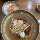 교동면옥 대구유천점 | 대구 냉면 맛집 교동면옥 유천점 내돈내산 솔직후기ㅣ육전 물비빔면, 명태회 비빔냉면, 육전