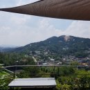 (주)토속촌삼계탕 이미지