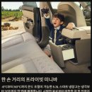EV5 살 돈으로 645마력 괴물 SUV를? 지커 7X 사전예약 대박 난 이유와 실구매가는?