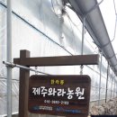 와라농장 이미지