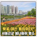 2016-주049 | 서울근교 봄나들이 하남 미사 호수공원 튤립 아이랑 이번주말 가볼만한곳