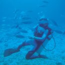 바다와여행 이미지