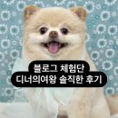 여왕PC | 디너의여왕 체험단 블로그 체험단 당첨율 높은 곳 추천 | 어플 후기
