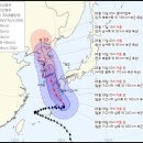 신방한라동백@ 3 이미지