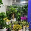 권오봉행정사사무소 이미지