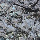 전국출장빵구