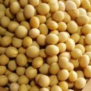 소백산토종메주 이미지