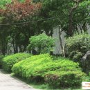 신동근린공원 이미지