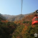 청정휴식공원 이미지
