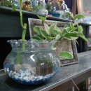 사파동358 이미지