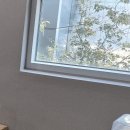 사과나무치과의원 이미지