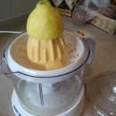 그린파파야 이미지