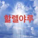 서영이네여주 | 사랑은 무성영화처럼