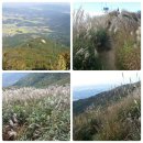 홍기네 토굴새우젓 이미지