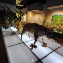 우리동네 고고학자 이미지