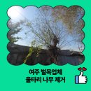 갈산면 신촌마을회관 | 여주 벌목업체 울타리 나무 제거