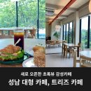 트리즈 | 성남대형카페 트리즈 카페 다녀온 후기
