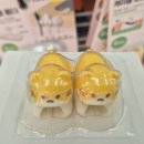 강아지와 고양이 이미지