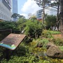 몰몰다이닝 이미지