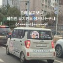 애견유치원 통원차량 보신 적 있으신 분 이미지