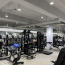 올페이스짐 이미지