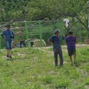 삼천리농장 이미지