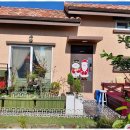 올래민박 이미지