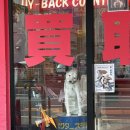 (주)퍼니랜드 | 250503 IKUO Grooving My Show On The Road 2025