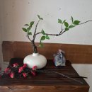 스테이라온펜션 이미지