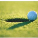 올바른골프연습장 이미지