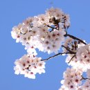 아양1로 이미지