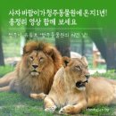 청주동물원 | 청주랜드 동물원 방문 가이드 | 입장료 | 주요동물 | 주변맛집