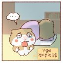 언니랑개 이미지