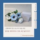 마디약국 | 임산부 칼마디영양제 추천, 프리솔라 칼마디케이 솔직 후기