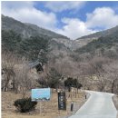 씨유동해무릉숲점(CU동해무릉숲점) | 강원도 동해 가볼만한 곳: 두타산 무릉계곡 등산과 액티비티 추천