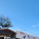 청상어 | 청상어횟집 부안맛집에 다녀온 후기입니다