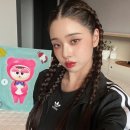 프리지아A 이미지