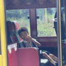 스콘단단씨