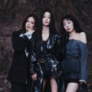 주식회사더알찬 네이버블로그