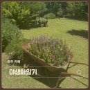 초록동행, 식물일기 | 경주 카페 야생화일기 아름다운 정원이 있는 경주 데이트코스