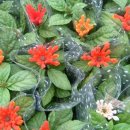 양재시장 이미지