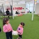 여시농장 | #. 파주 드림팜 또 가고싶은 딸기체험농장