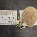 몽몽이엠파크 이미지