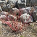 좌구산편의점 이미지