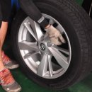 타이어총판 이미지