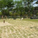 놀이터PC 이미지