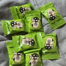 쟈니하우스 | 정우보러 페스트 뮤지컬 콘서트 (This is PESTE 중콘 후기 엠디 화장실팁 셋리 등)