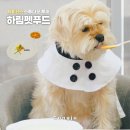 제일사료(주)함안공장 | 하림펫푸드 투어 공주 애견동반 여행 개슐랭 코스요리