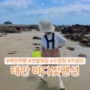 빛과갯벌-2 이미지