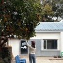 풀베개 제주 서귀포 안덕면 카페/ 고즈넉한 카페 추천 ‘<b>풀</b><b>베개</b>’